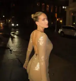 16arlington Solarium Open-back Sequined Stretch-tulle Mini Dress Smoke Sequin Size AU 6 for rent on The Volte - image 5