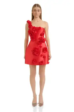 Eliya the Label Amara Dress Red Size S/ AU 8 for rent on The Volte - image 1