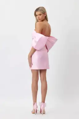 Bianca & Bridgett Eden Mini Dress Pink Size 8 for rent on The Volte - image 3