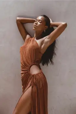 Sonya Moda Nour Shimmer Maxi Dress Bronze Size 10 for rent on The Volte - image 4