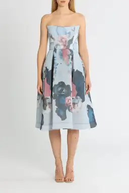 Nicholas Mesh Ball Dress Painted Floral Size 12 for rent on The Volte - image 1