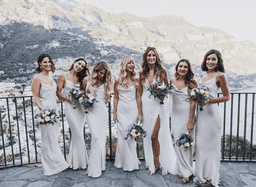 Shona Joy Luxe 'Porcelain' Bias Cowl Slip Dress Blush Size 8 for rent on The Volte - image 7