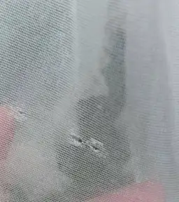 We Are Reclamation Wish For It Gown Cream One Size for rent on The Volte - image 12