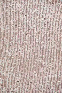 Winona Kiama Backless Sparkle Party Mini Dress Sequin Size XS / AU 6 for rent on The Volte - image 6