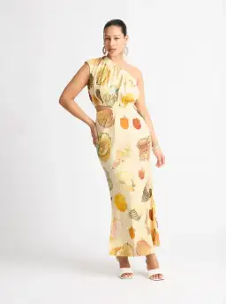 Sheike Sea Shore Maxi Dress Print Size 8 for rent on The Volte - image 1