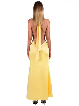 I am Delilah Margot Maxi Dress Daffodil Size 8 for rent on The Volte - image 2