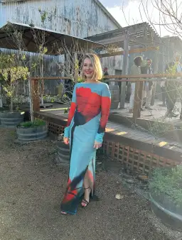 Rat & Boa Santino Dress Multi Size S / AU 8 for rent on The Volte - image 2