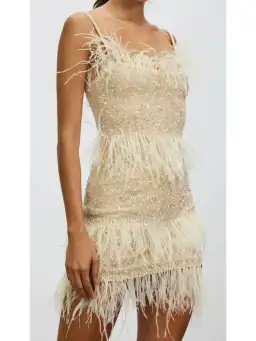 Rachel Gilbert Frenchy Mini Dress Nude Size AU 10 for rent on The Volte - image 2