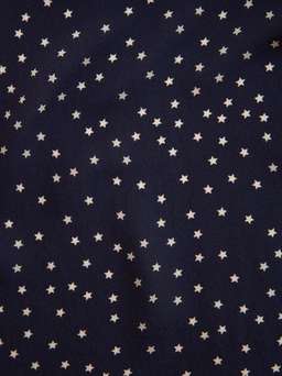 The Alexandra - Navy Star