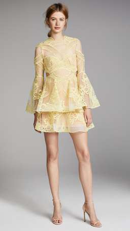 Thurley Chameleon Mini Dress