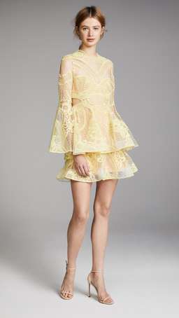 Thurley Chameleon Mini Dress