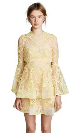 Thurley Chameleon Mini Dress