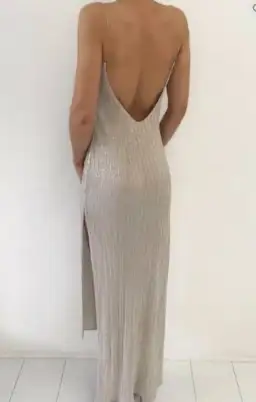 Natalie Rolt Dion Dress in Champagne Size 6 for rent on The Volte - image 2