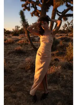 Sir the Label Antonia Beaded Midi Light Tan Size AU 14 for rent on The Volte - image 5