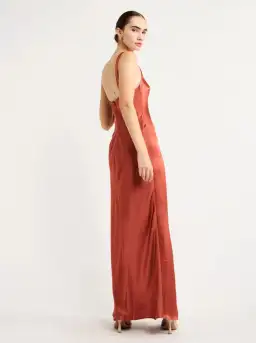 Anna Quan Etta Dress Bruschetta Size 8 for rent on The Volte - image 3