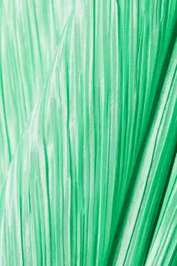 LoveShackFancy Julissa Plissé Satin Halterneck Maxi Dress In Light Emerald Size S / AU 8 for rent on The Volte - image 5