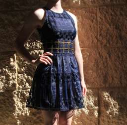 Sass & Bide The Balancing Act Dress Navy for rent on The Volte - image 1