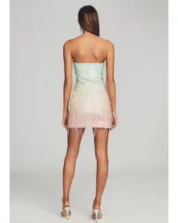 Retrofete Anastasia Sequin Feather Mini Dress in Feather Size AU 8 for rent on The Volte - image 3