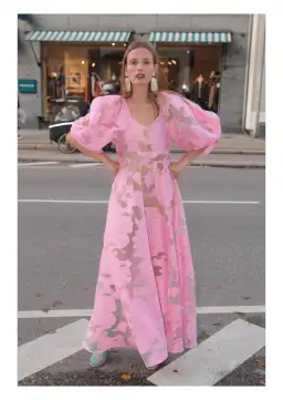 Mr. Larkin Lexi Organza Dress Pink Size 10 for rent on The Volte - image 1