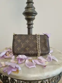 Louis Vuitton Mini Shoulder Bag Monogram