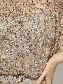 Montique Mimi Hand Beaded Sequin Gown Nude Size 8 for rent on The Volte - image 6