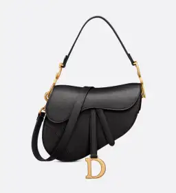 Dior Saddle Bag with Strap  for rent on The Volte - image 1