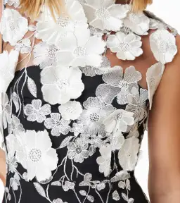 Elliatt Selene Cocktail Dress Black/White Size 12 for rent on The Volte - image 2