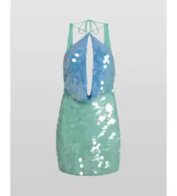 Rat & Boa Kiki Dress in Ombre Sequin Size XS AU 6  for rent on The Volte - image 4