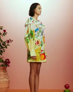 Alémais Flores Mini Dress Multi Size 16 for rent on The Volte - image 3