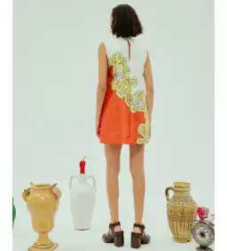 Alemais Sierra Mini Dress Print Size AU 8 for rent on The Volte - image 4