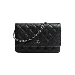 Chanel Classic Wallet On Chain Bag Black/Silver