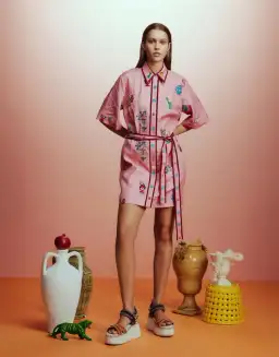 Alemais Timmy Embroidered Mini Dress Pink Size AU 12