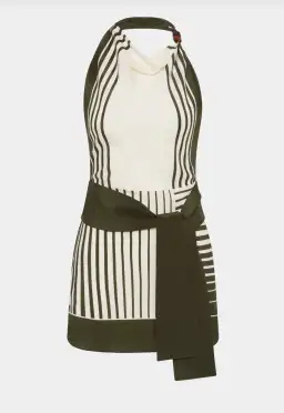 Sir the label Leilana Mini Dress in Garden Stripe Size 8  for rent on The Volte - image 12
