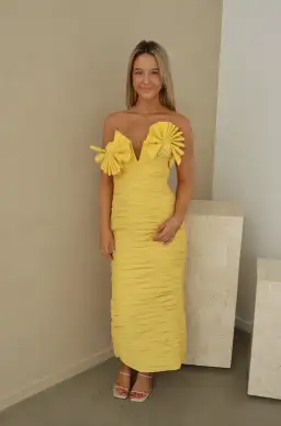 Rachel Gilbert Jensen Dress Yellow Size 2/Au 10  for rent on The Volte - image 6