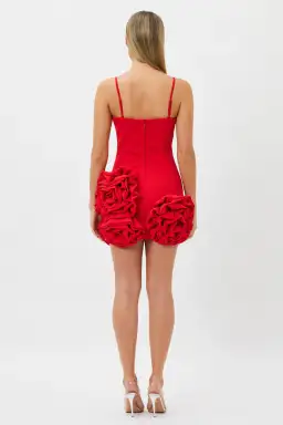 Bianca and Bridgett Maria Mini Dress Red Size 12 for rent on The Volte - image 3