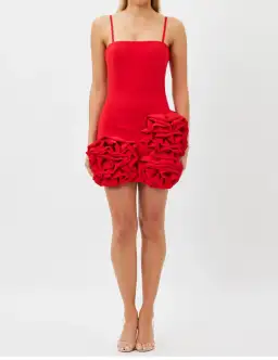 Bianca and Bridgett Maria Mini Dress Red Size 12 for rent on The Volte - image 2