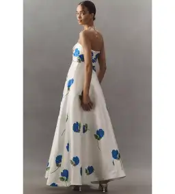 Aston Studio Audrey Dress Celeste Foam Size 8 for rent on The Volte - image 3