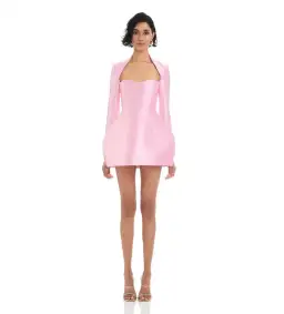 Eliya The Label Kate Mini Dress Pink Size M/AU 10 for rent on The Volte - image 1