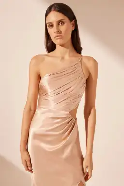 Shona Joy La Lune Asymmetrical Maxi in Desert Rose Size AU 10 for rent on The Volte - image 3