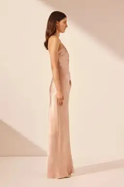 Shona Joy La Lune Asymmetrical Maxi in Desert Rose Size AU 10 for rent on The Volte - image 4