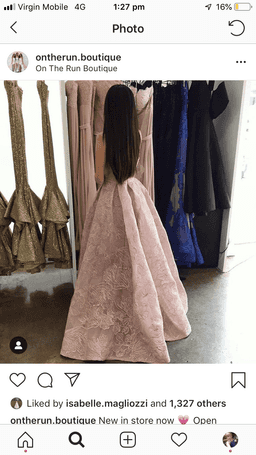 Portia and scarlette gown Size 6 for rent on The Volte - image 4