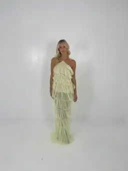 The Bar Limoncello Henri Gown Size XS / AU 6 for rent on The Volte - image 1