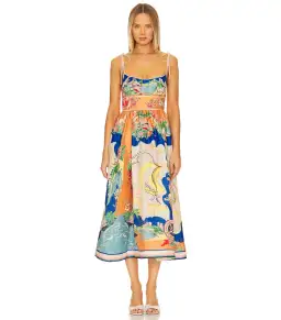 Zimmermann The Alight Picnic Midi Dress in Nautical Map Print Size 2 / AU 12