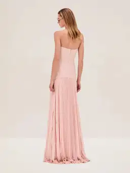 Alexis Sunniva Floor Length Dress in Pink Size XS / AU 6 for rent on The Volte - image 2