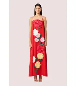 Elliatt Buttercup Embroided Maxi Dress Red Size AU 10 for rent on The Volte - image 1