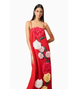 Elliatt Buttercup Embroided Maxi Dress Red Size AU 10 for rent on The Volte - image 4