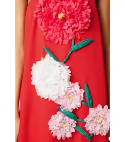 Elliatt Buttercup Embroided Maxi Dress Red Size AU 10 for rent on The Volte - image 6