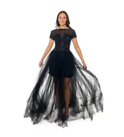 Jonte Illusion Lace Gown Black Size AU 10