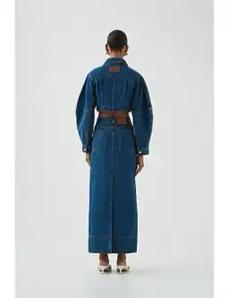 Phoenix Denim Midi Skirt