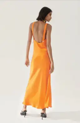 Silk Laundry Deco Ruched Maxi Dress Fire Lily Size 6/XS for rent on The Volte - image 4